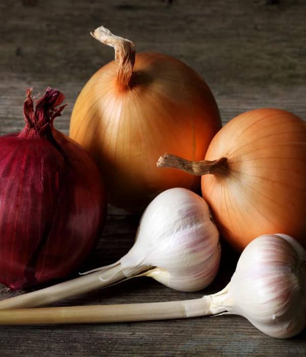 onion-garlic